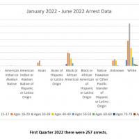 Arrest Data - First Half 2022